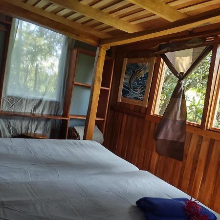 Barba Negra Adventure House Villa Sierpe Екстериор снимка